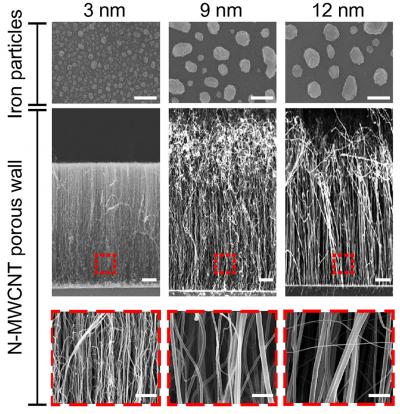 New, Carbon-Nanotube Tool for Ultra-Sensitive Virus Detection and Identification (3 of 3)