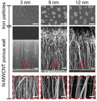 New, Carbon-Nanotube Tool for Ultra-Sensitive Virus Detection and Identification (3 of 3)