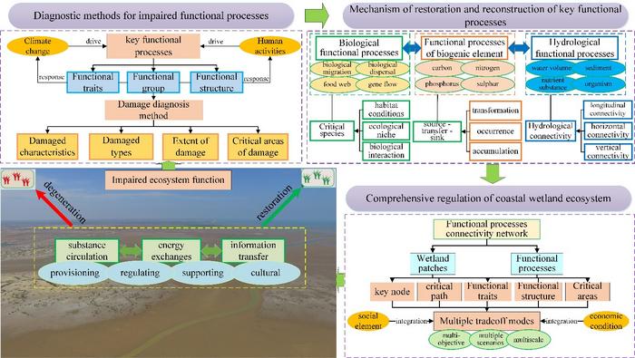 RESTORATION AND DEVELOPMENT TRENDS OF DAMAGED COASTAL WETLAND ECOSYSTEMS IN GREATER BAY AREAS