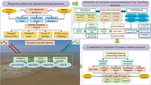 RESTORATION AND DEVELOPMENT TRENDS OF DAMAGED COASTAL WETLAND ECOSYSTEMS IN GREATER BAY AREAS