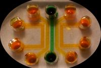 Microfluidic Device