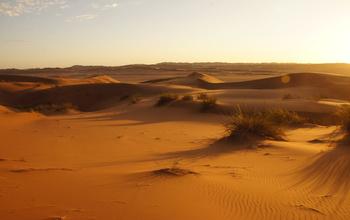 Sunset in Namib