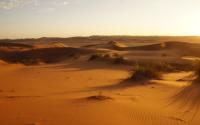 Sunset in Namib