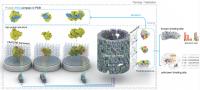 AI Reveals Nature of RNA-Protein Interactions