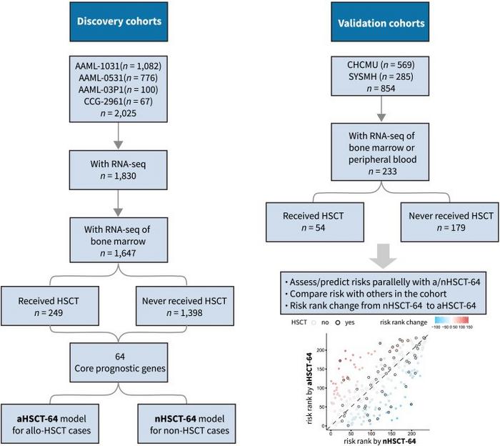 Workflow for the development, validation, and application of the HSCT-64 risk framework.