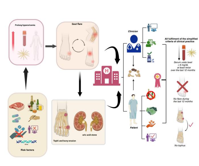 The path to gout remission: integrating risk awareness, patient collaboration, and targeted therapy