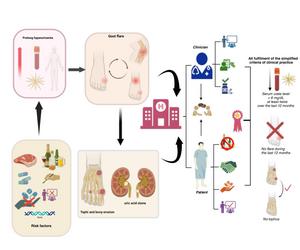 The path to gout remission: integrating risk awareness, patient collaboration, and targeted therapy