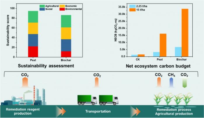 Carbon-based strategy enables sustainable remediation of paddy soils in harmony with carbon neutrality