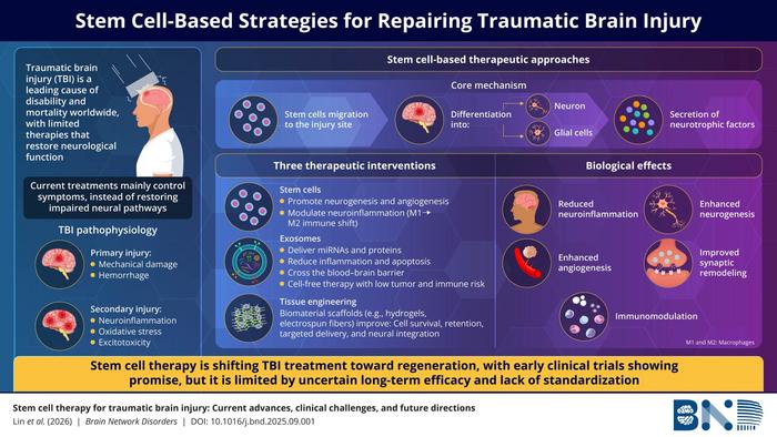 Regenerative Approaches to Traumatic Brain Injury