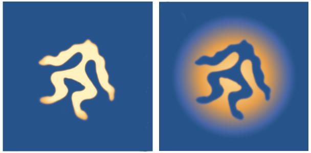 Quantum Frog 2