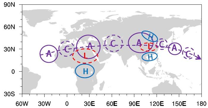 AMO and Afro-Asian Monsoon