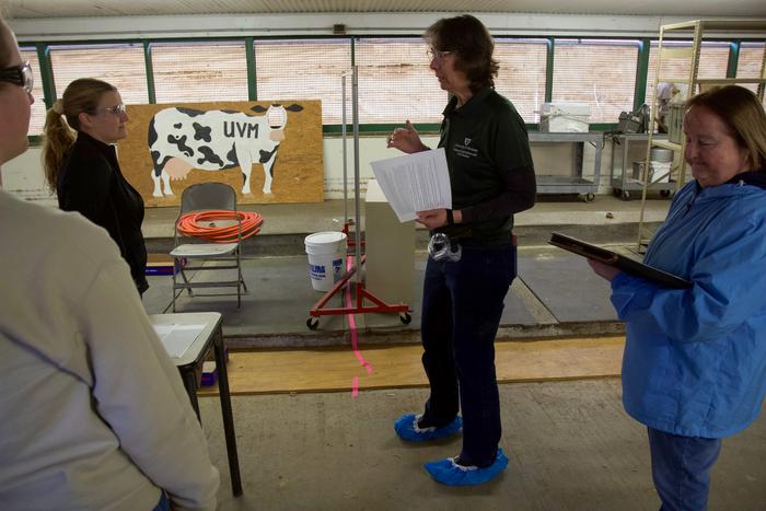Professor Julie Smith (center) teaches students about Biosecurity through a "Clean Escape" Game at the UVM Miller Dairy Farm.