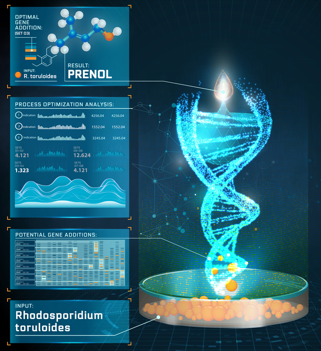 Retsynth Software