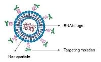 Nanoparticle