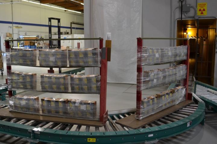 Irradiation Preserves Blueberry, Grape Quality