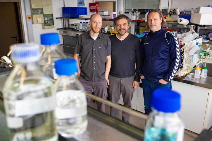 Professors at the Lab