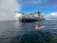 Research Vessel <em>Falkor</em> and AUV AE2000f