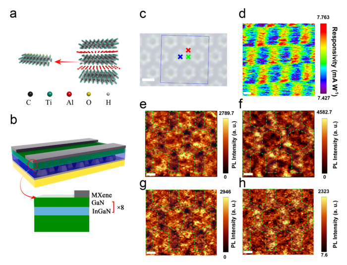 Schematic diagram of the proposed photodetector and its photoresponse and photoluminescence mapping