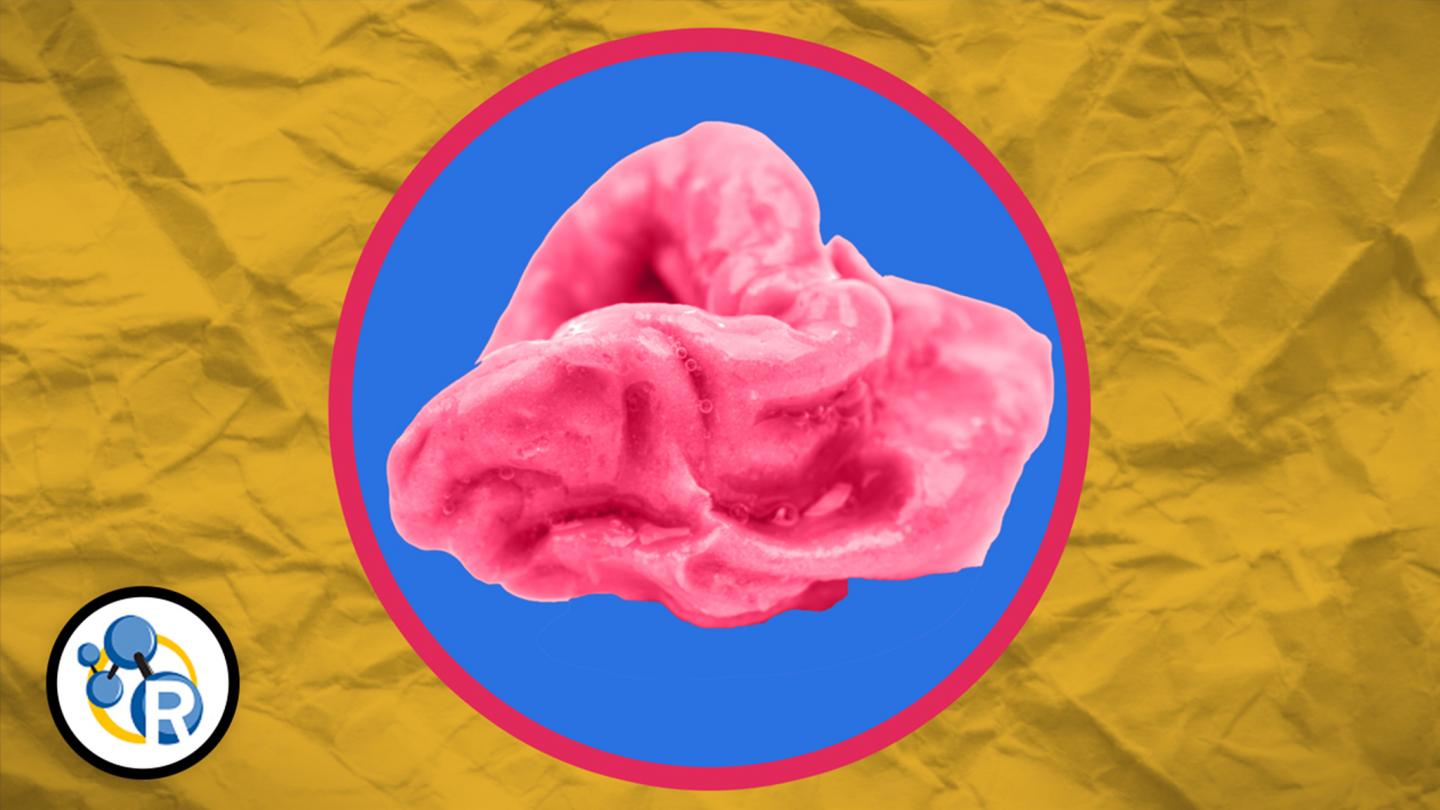 What Happens When You Swallow Gum?