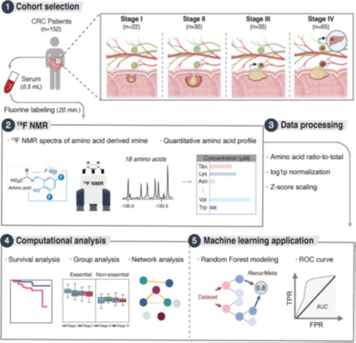 A Single Blood Sample May Improve the Prediction of Colorectal Cancer Recurrence or Metastasis, KAIST Study Finds
