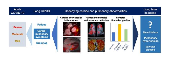 Underlying Cardiac and Pulmonary Abnormalities