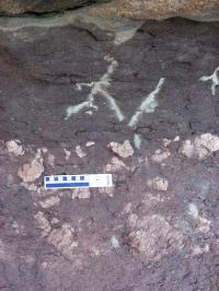 Ancient Soil Nodules