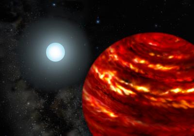 Gas-Giant Exoplanets Cling Close to Their Parent Stars