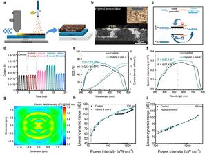 Self-powered perovskite photodetector with chocolate-chip-cookie structure