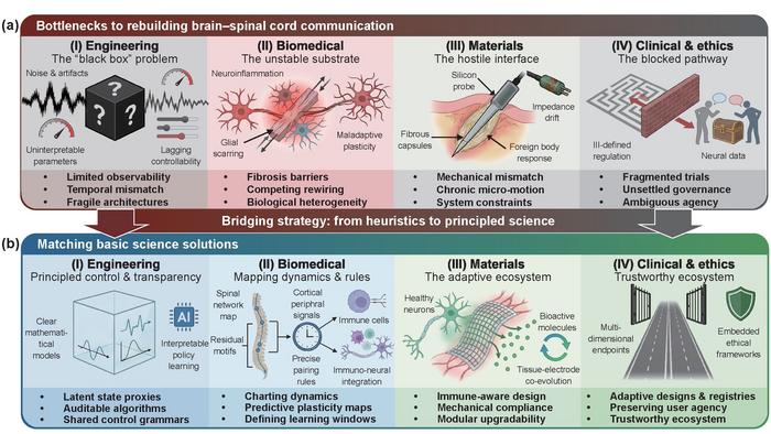 Key bottlenecks and solution framework for rebuilding brain–spinal communication after spinal cord injury