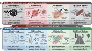 Key bottlenecks and solution framework for rebuilding brain–spinal communication after spinal cord injury