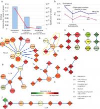 Marker Reproducibility and Metastasis Prediction Performance