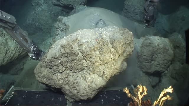 Mapping the Century's Biggest Undersea Eruption Reveals How Seafloor Volcanoes Are Misunderstood (5 of 9)