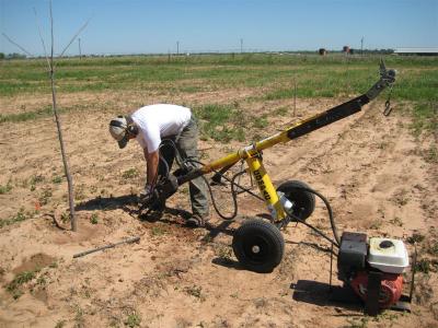 Getting to the Root of Science in a Nutty Way