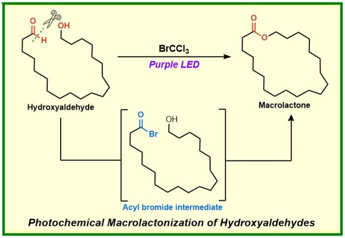 Photochemical macrolactonization: A route to brominated intermediates for 7–21-membered lactone rings