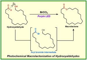 Photochemical macrolactonization: A route to brominated intermediates for 7–21-membered lactone rings