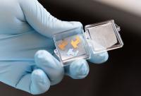 Microneedle patches for extraction of interstitial fluid