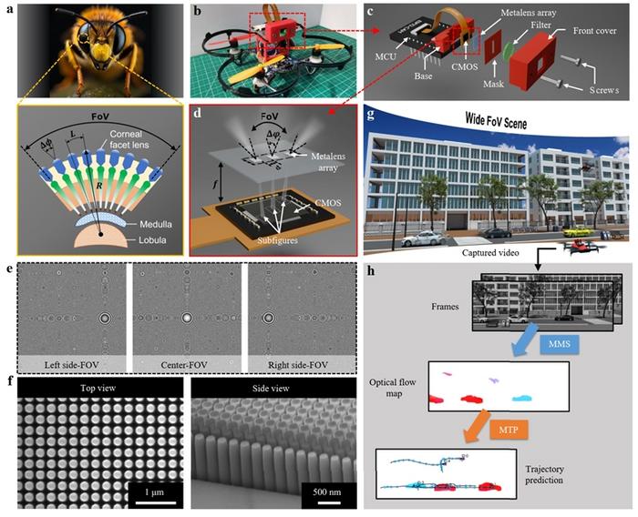 Figure | Architecture and working principle of the proposed nanophotonic sensor