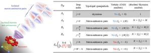 Optical meron–antimeron pair in a plasmonic resonator