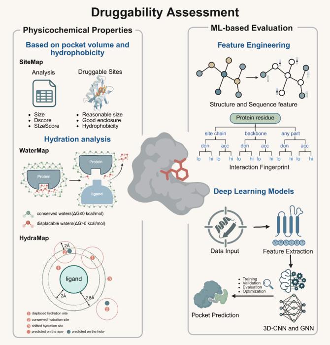 Figure 3. Druggability assessment methods.