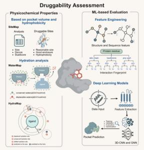 Figure 3. Druggability assessment methods.
