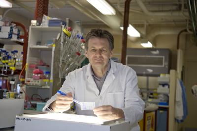 Professor Alan Cowman, Walter and Eliza Hall Institute