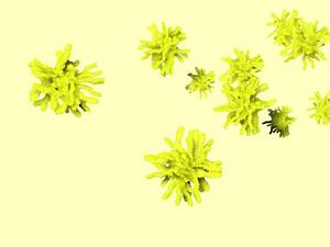 Animation shows self-assembly process