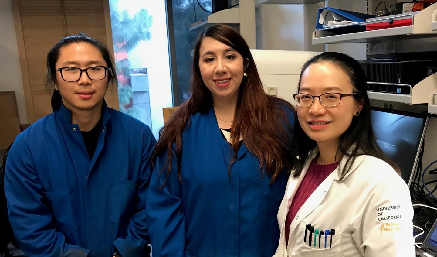 Zheng Lab