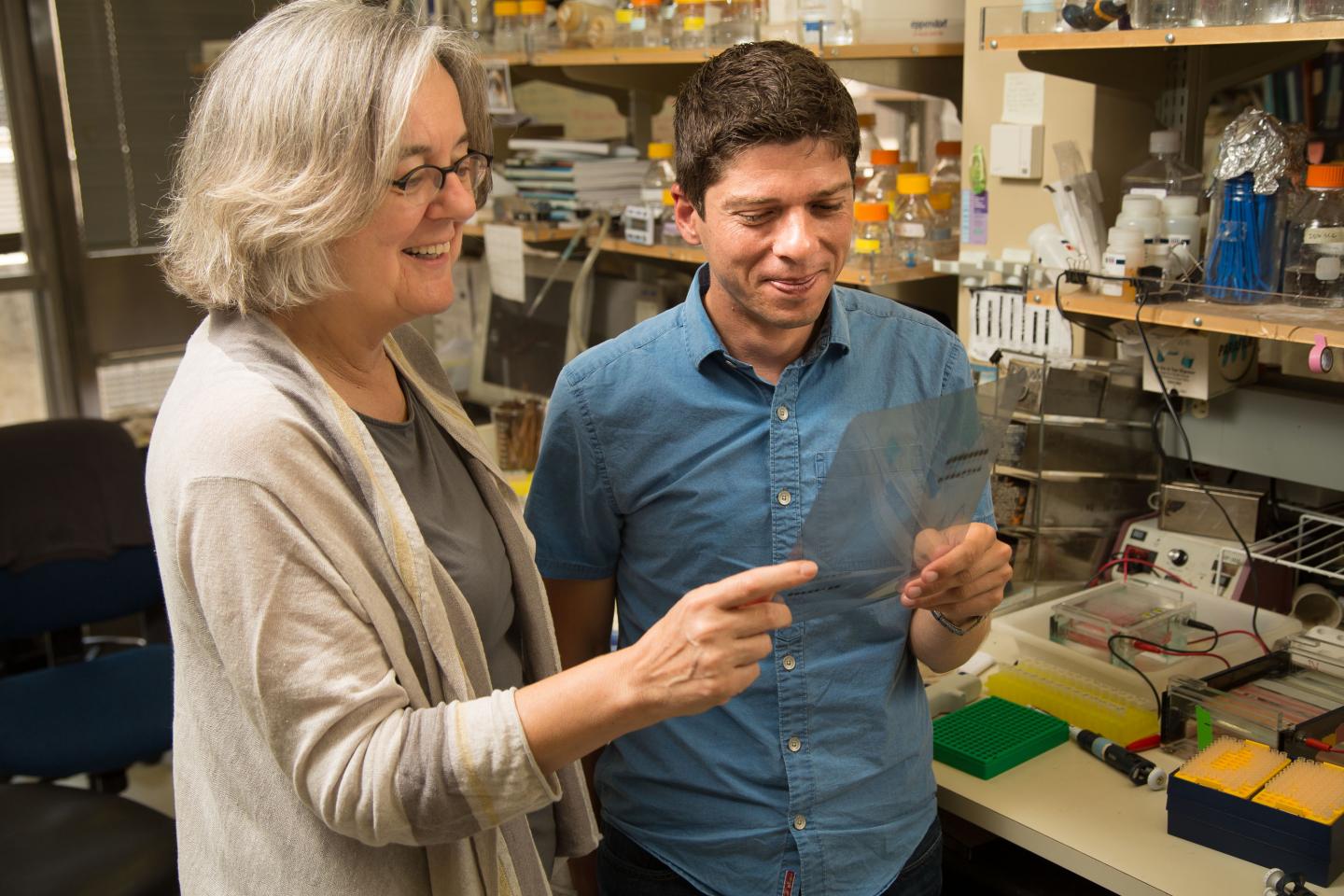 Victoria Lundblad, Timothy Tucey, Salk Institute