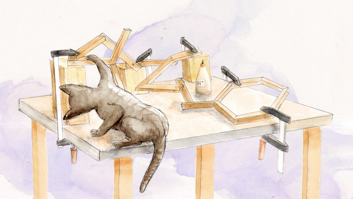 illustration: the catalyst – the cat