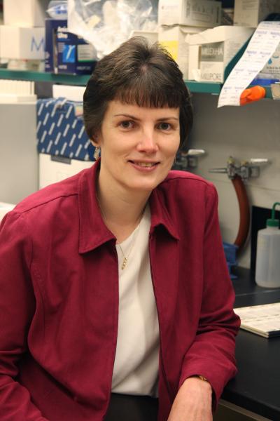Margie Clapper, Ph.D., Fox Chase Cancer Center