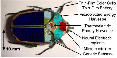 Cyborgbug (2 of 2)
