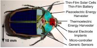 Cyborgbug (2 of 2)