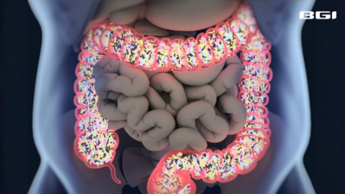 BGI Genomics study found Gut Bacteria-Producing L-Arginine Boost Bone Health