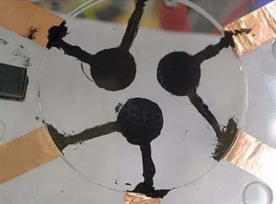 Chromatophores Shown in Actuated States